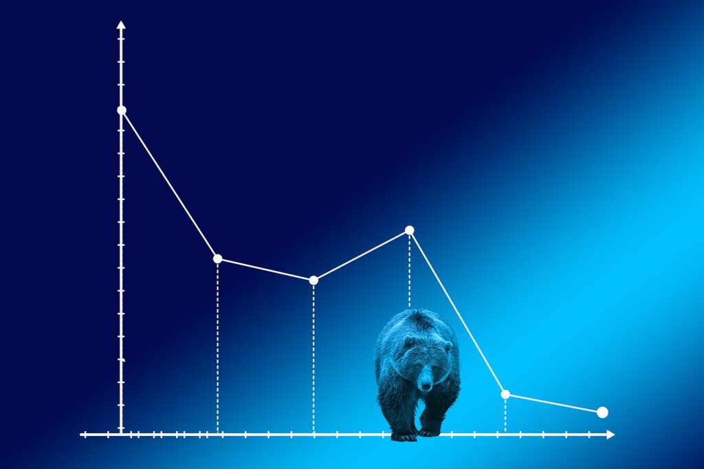 Em um fundo azul, aparece um gráfico com tendência de queda e um urso na frente, representando o bear market