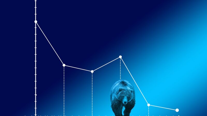 Bear market: existem oportunidades no estado de pessimismo?