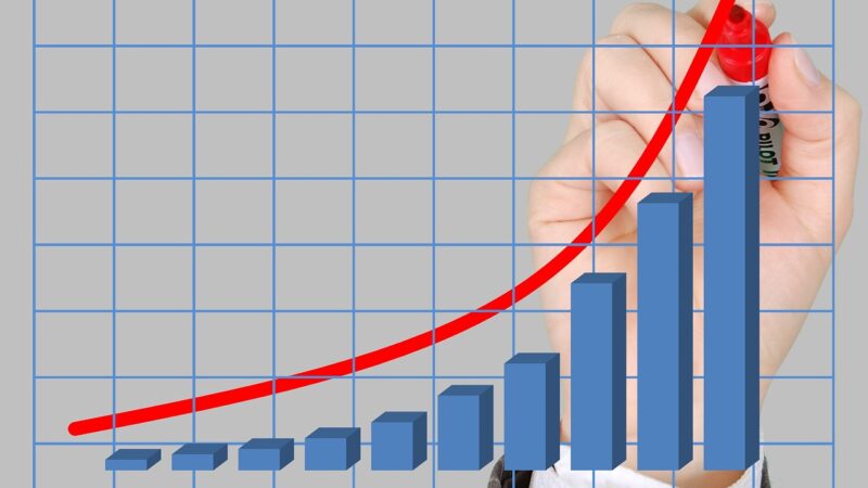 Como a rentabilidade dos investimentos funciona? Encontre a resposta!