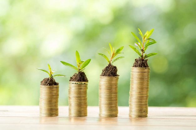 quatro pilhas de moedas crescentes com uma planta em cima de cada